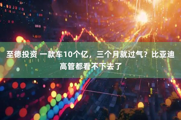 至德投资 一款车10个亿，三个月就过气？比亚迪高管都看不下去了
