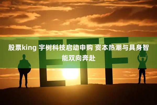 股票king 宇树科技启动申购 资本热潮与具身智能双向奔赴