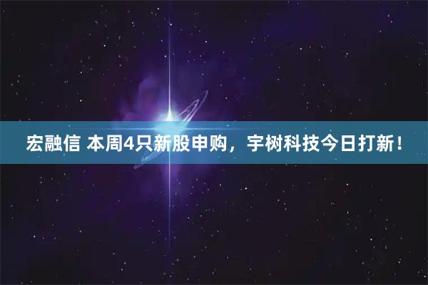 宏融信 本周4只新股申购，宇树科技今日打新！